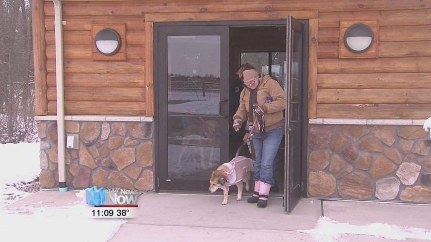 Dog owners brave the cold for the seasonal Hound Hike