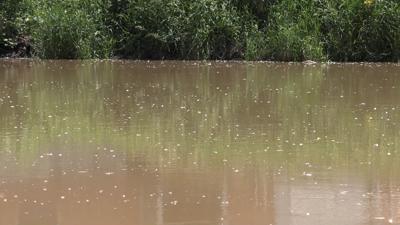Spencerville graduates organize Auglaize River cleanup event