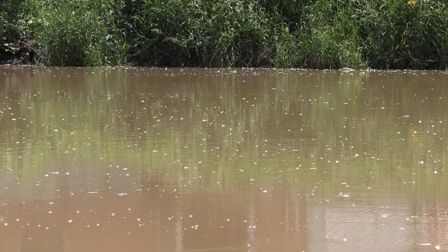 Spencerville graduates organize Auglaize River cleanup event