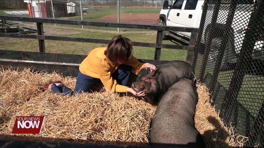 Perry High School student organizes a day to share her love of agriculture with fellow students