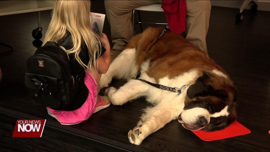 Lima Public Library offering prize drawings for completing summer reading logs