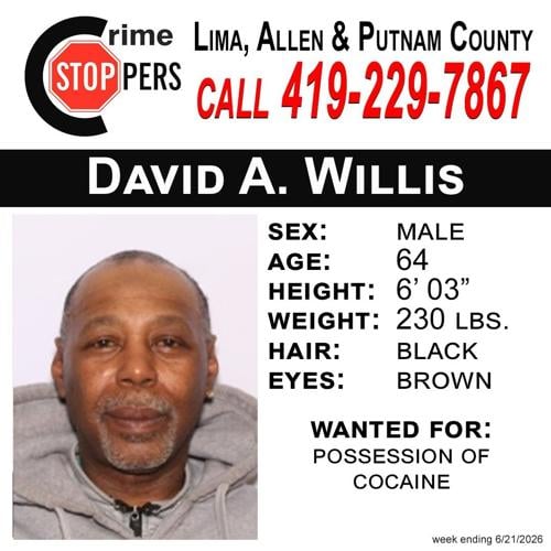 David Willis