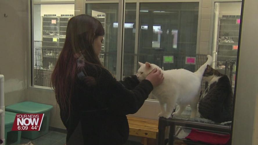 Lima West Middle School Students learning about volunteering in the community