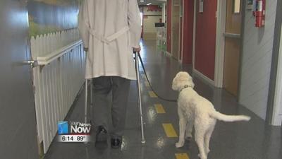 St. Rita's Therapy Dog