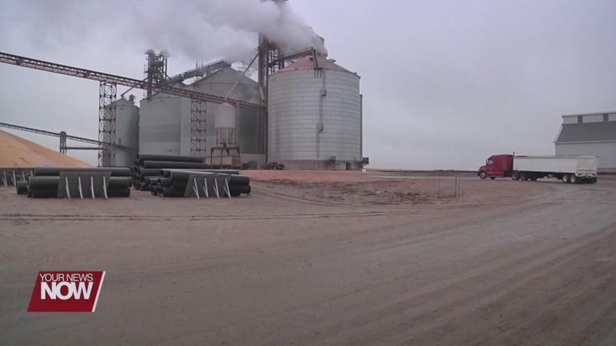 2021 Harvest Outlook