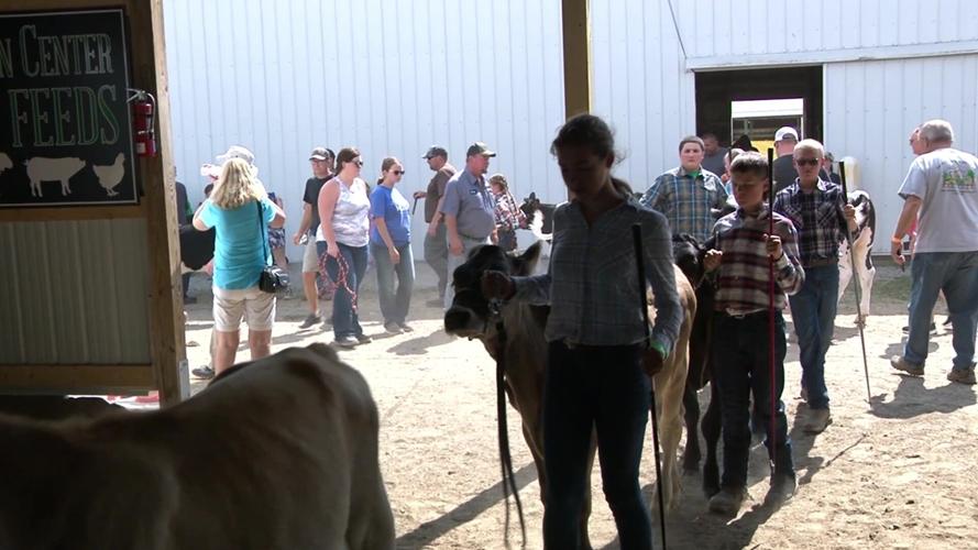 Fair week brings big life lessons for Junior Fair Board teens
