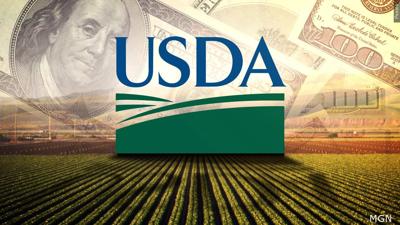 USDA and Money Generic