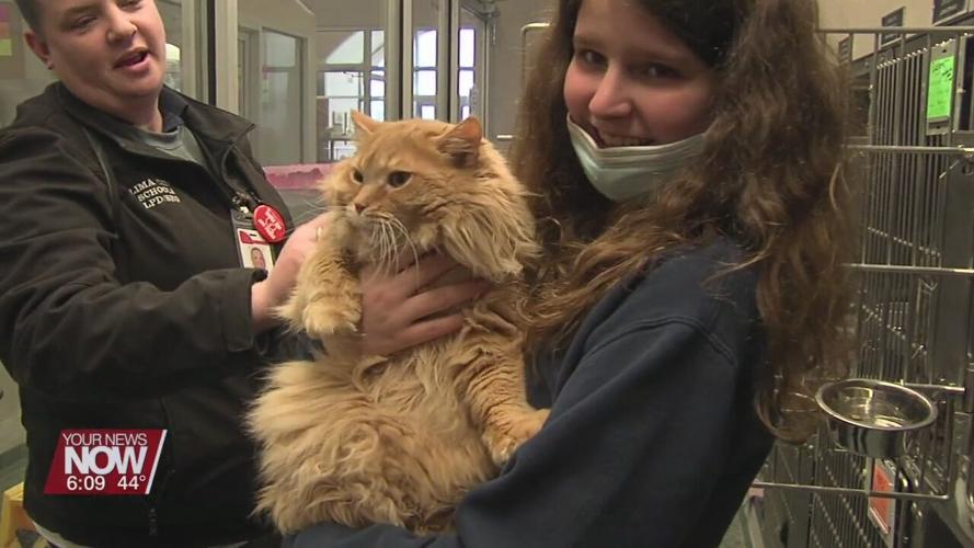 Lima West Middle School Students learning about volunteering in the community