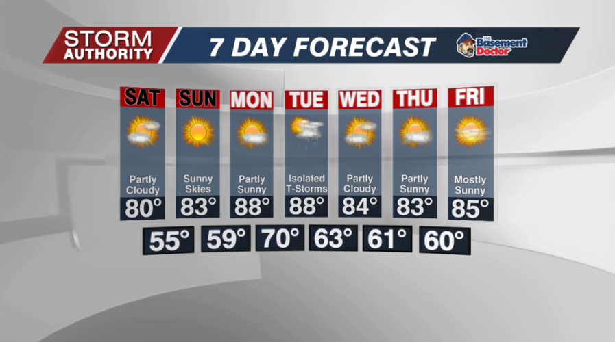 7 Day Forecast