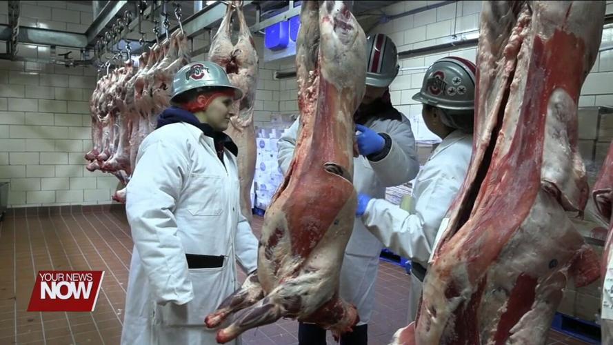 Judges from OSU Extension explain what they are looking for at annual Kewpee Carcass Show