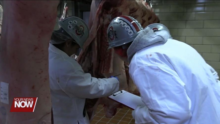 Judges from OSU Extension explain what they are looking for at annual Kewpee Carcass Show