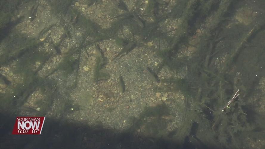 Schoonover Lake project just about complete