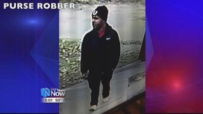 Identity of purse robber sought