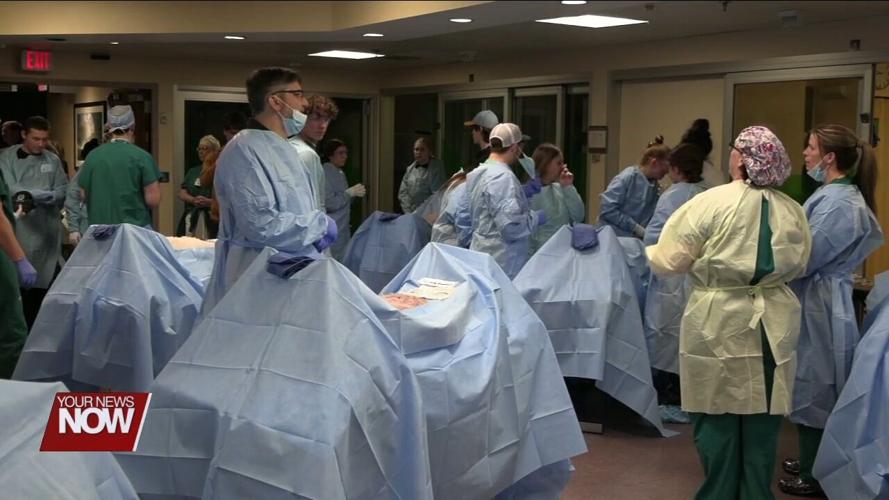 Lima Memorial Exploring Program hosts spotlight on dissection and surgery