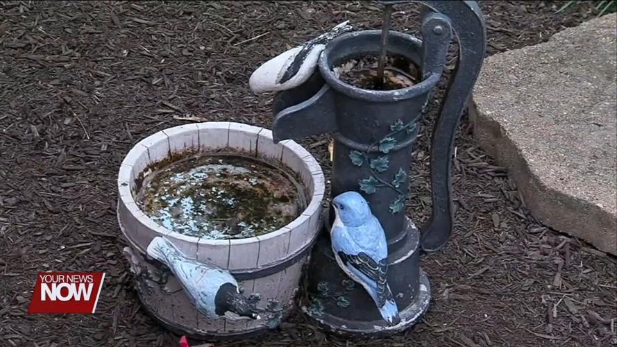 Don’t Let Mosquito-Borne Illness Ruin Summer Travel