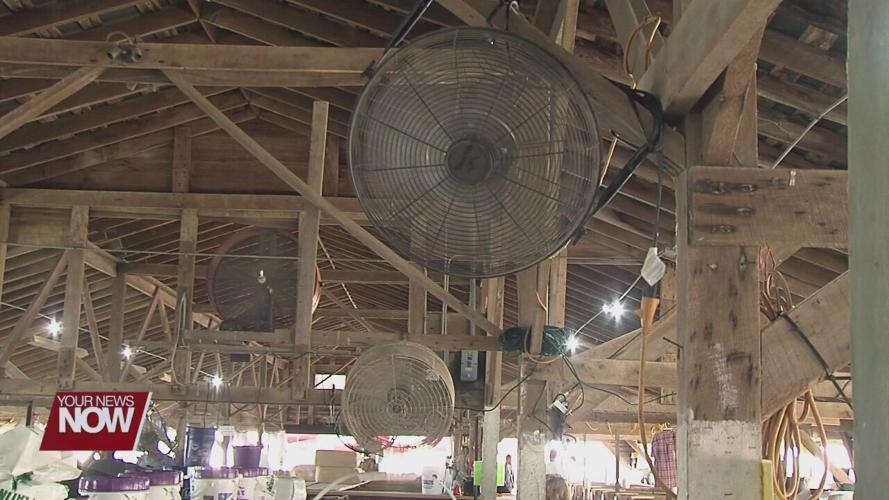 Helping the hogs beat the heat during the Allen County Fair