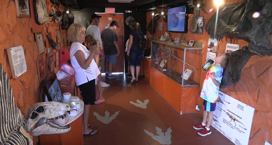 Kids get to check out fossils and learn about some dinosaurs in Allen County
