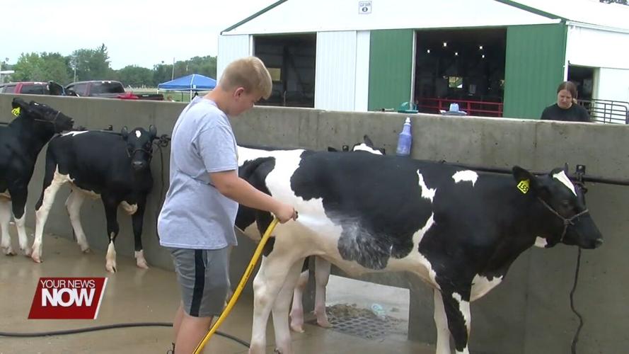 Responsibility and self-discipline are just a few of the positive lessons being taught to 4-H members