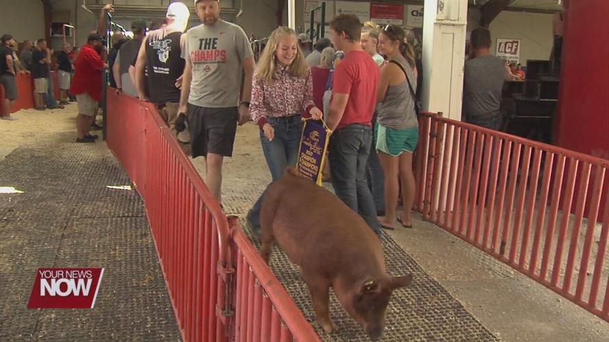 Helping the hogs beat the heat during the Allen County Fair