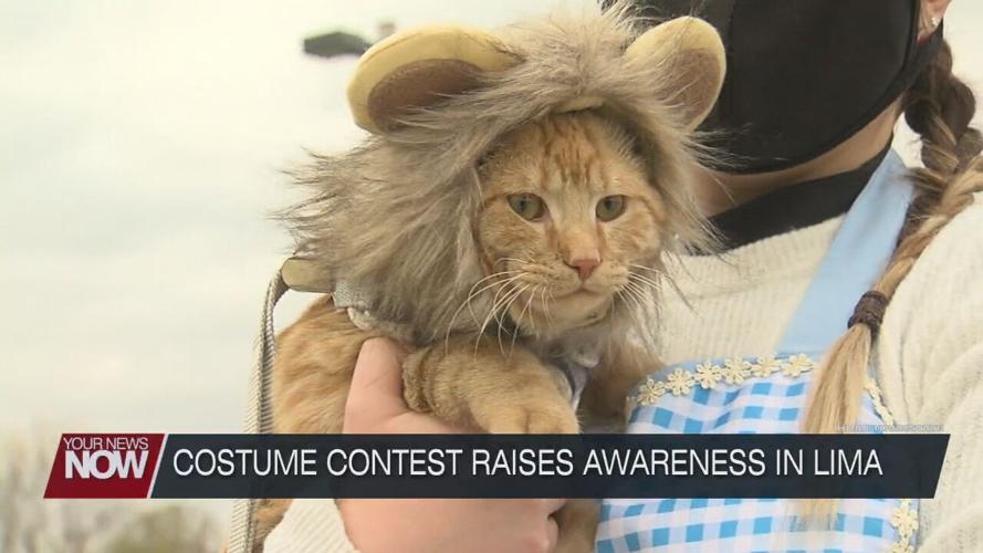Pet costume contest raises awareness on domestic violence and sexual assault