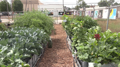 Youth garden project pays off at YWCA kids’ market and poster contest