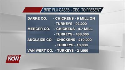 Latest numbers of bird flu in our local counties