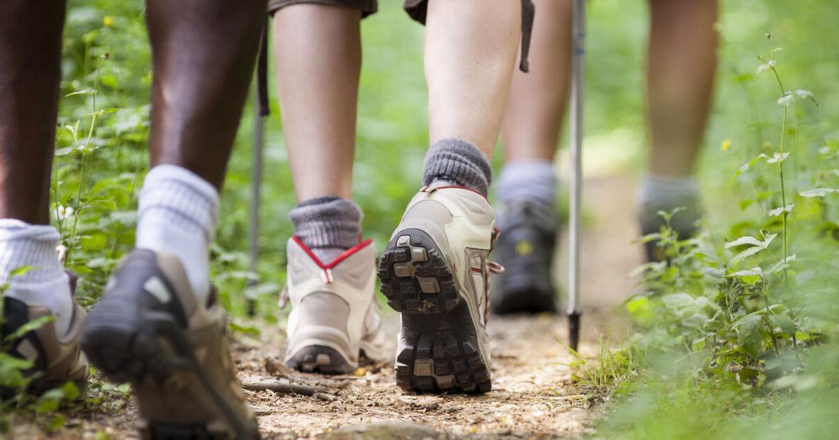 Upcoming June Programs from the Johnny Appleseed Metropolitan Park District - Vimarsana News