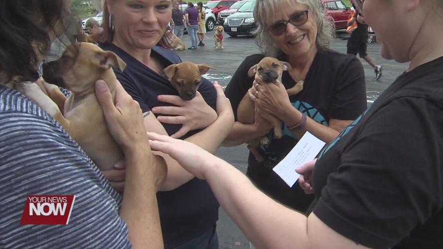 Pet blessing at local Lima Church