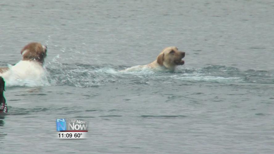 A dog-gone good time at Dog Day at the Beach.jpg