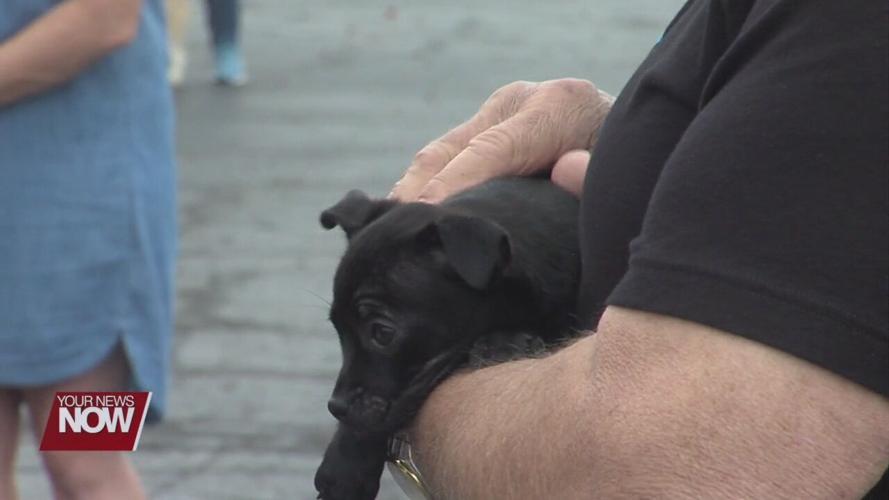 Pet blessing at local Lima Church