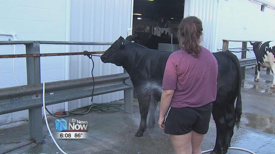 Beating the heat is the name of the game at the fair 3.jpg