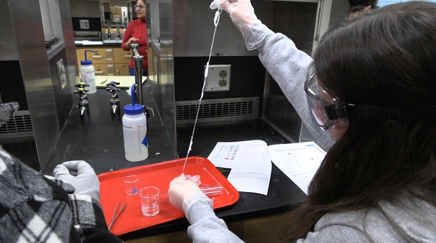 Area high school students participate in hands-on STEM activities at Ohio State Lima