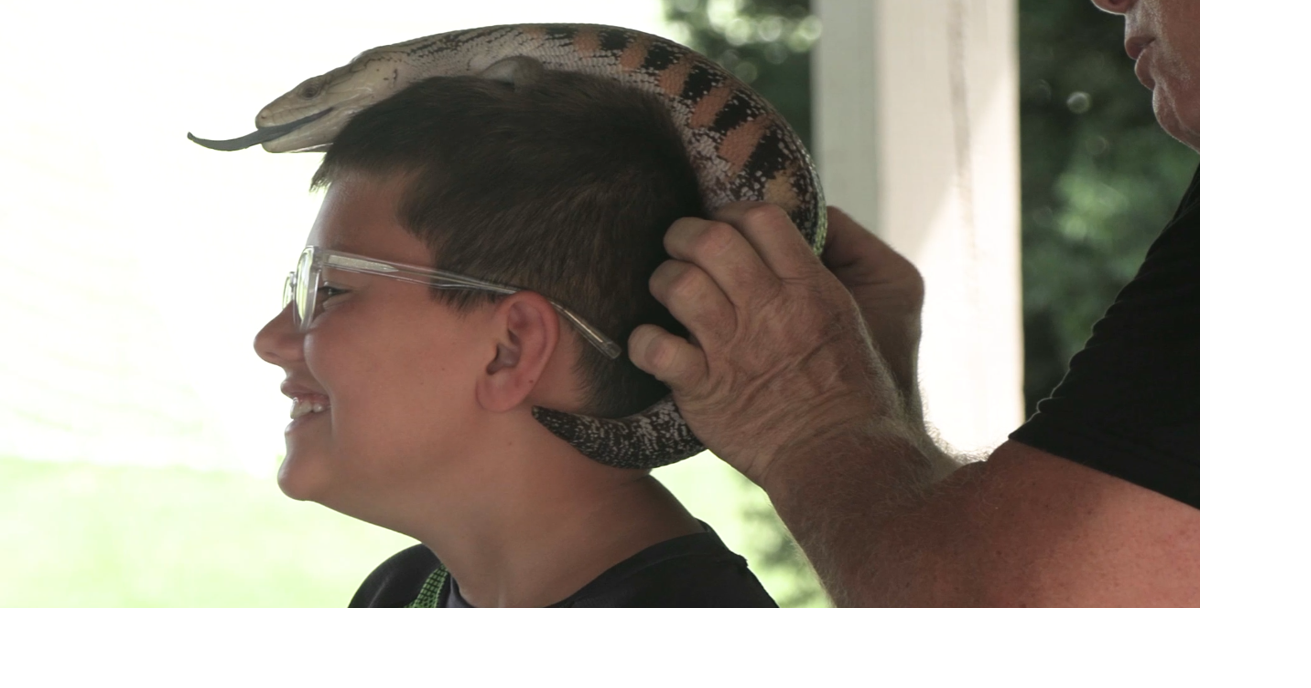 Things get wild at Ottoville Library with exotic animals Jul 30, 2025 12 mins ago
