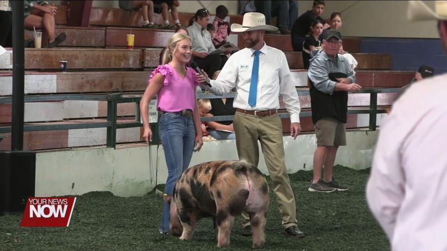4-H Spotlight: Hard work pays off for the Junior Fair at Allen County Fair auction