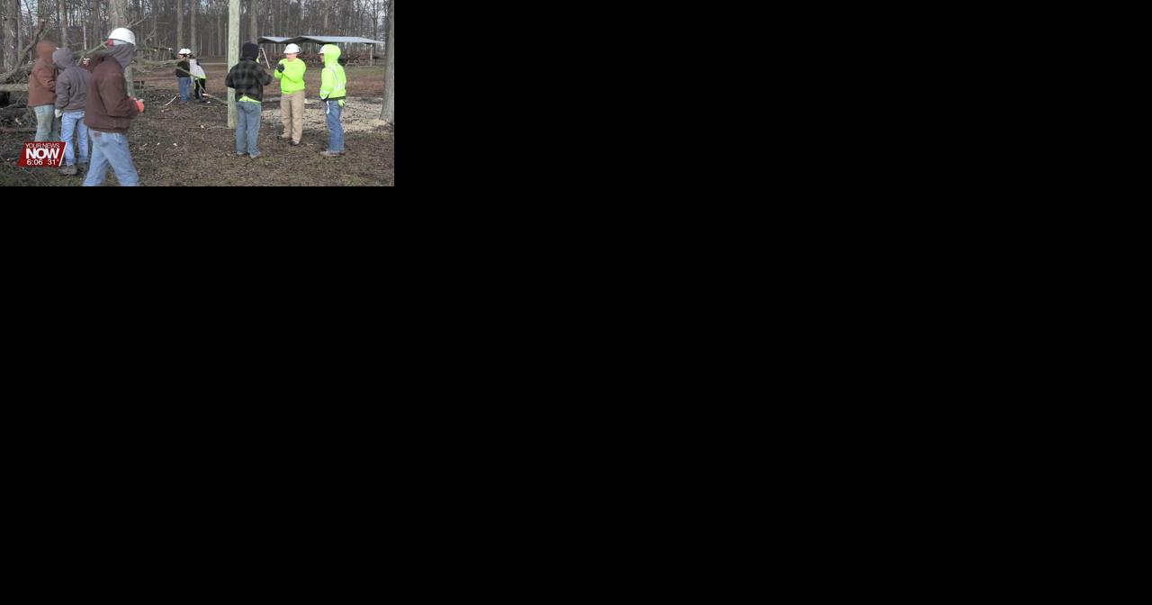 Students from Apollo Career Center take part in cutting down a problematic tree at Camp Robin Rogers - Vimarsana News
