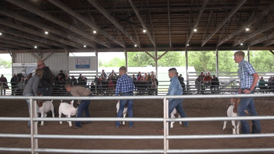 Putnam County youth carry on family traditions through 4-H and FFA at the fair