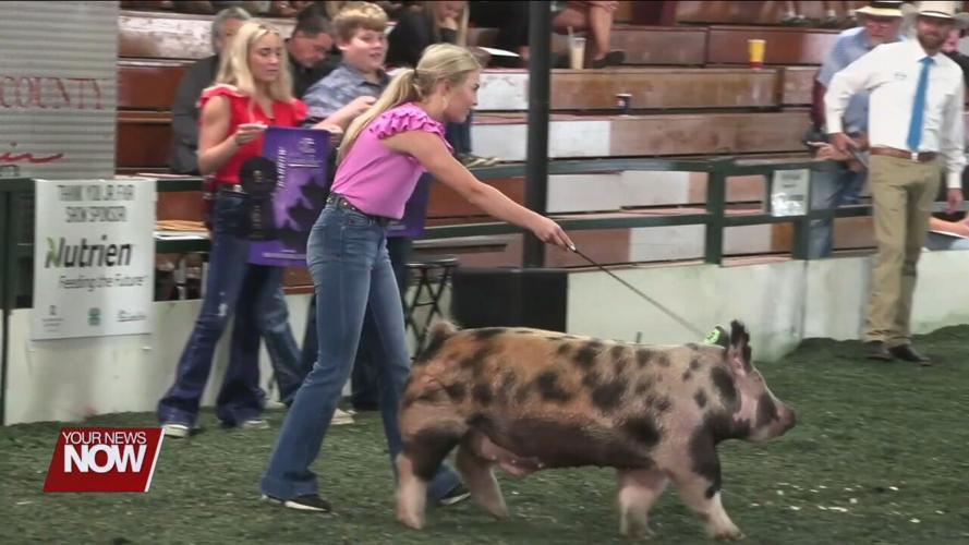 4-H Spotlight: Hard work pays off for the Junior Fair at Allen County Fair auction