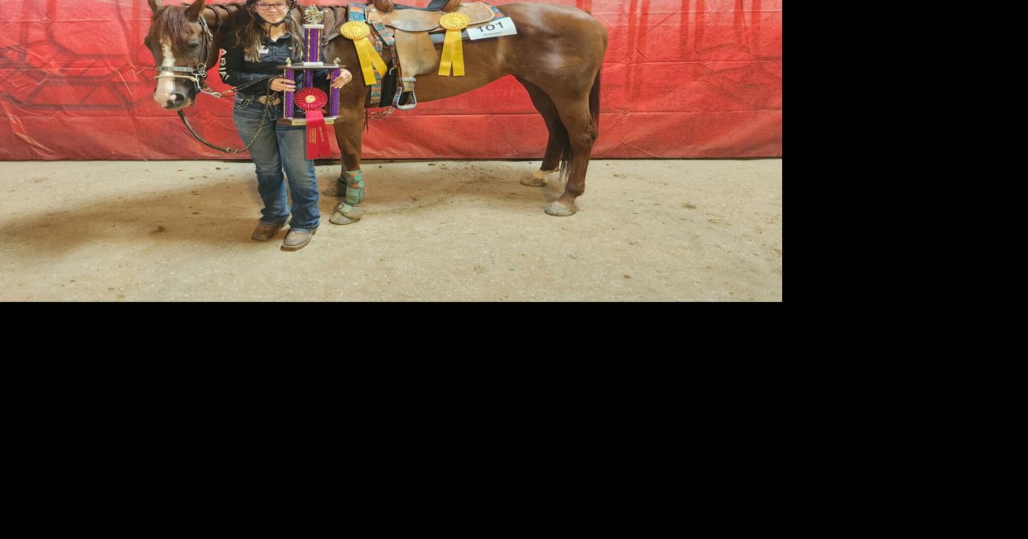 Two Allen County girls place in Junior Ohio State Fair Horse Show
