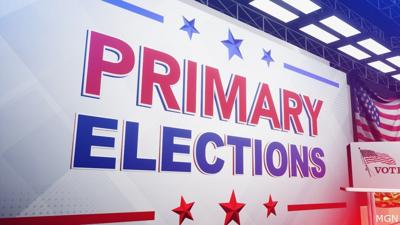 Primary Elections