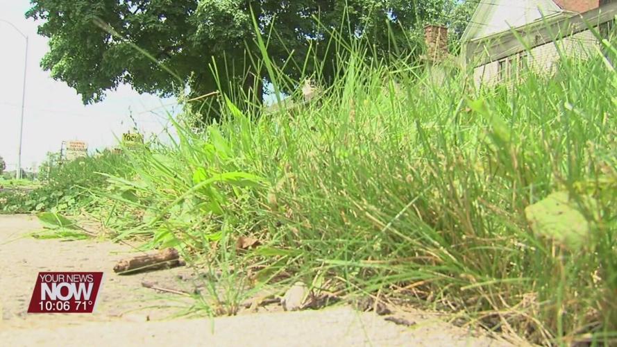 Delphos City Council votes on new full-time position