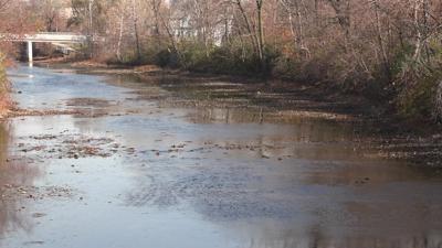 Stormwater awareness day in Allen county