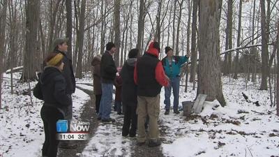 Getting Sappy over Maple Syrup at Teddy Bear Park