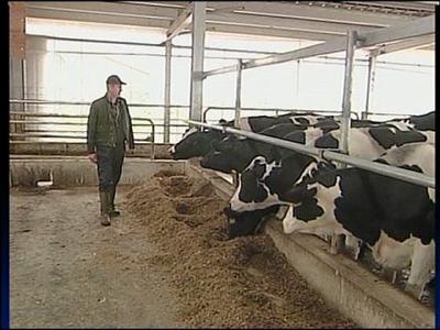 Van Wert Co. dairy to expand