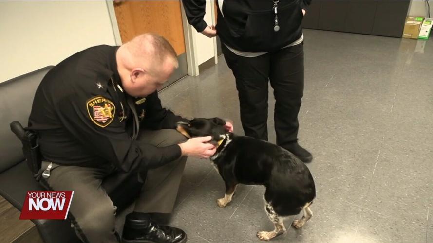 Hardin County Sheriff's Office adopts rescue dog to relieve stress from victims and staff
