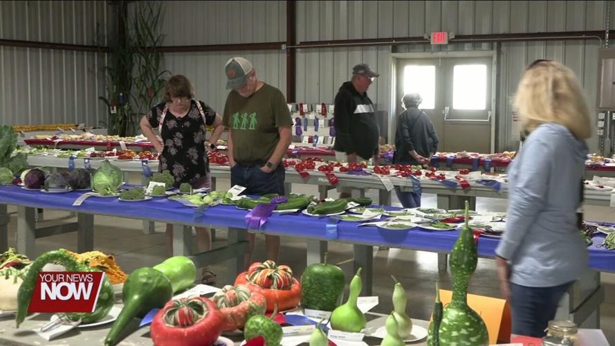 Seniors enjoy free admission and reminisce at Van Wert County Fair