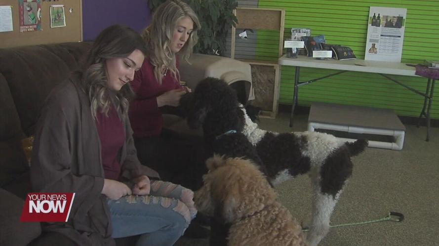 Doggy Daycare branches out to help those in need in a major way
