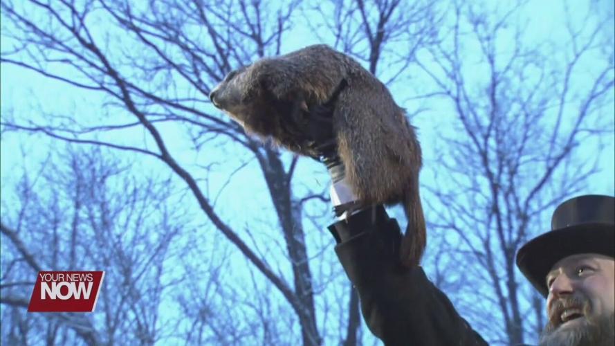 Scoring the Groundhog’s accuracy and the forecast outlook ahead