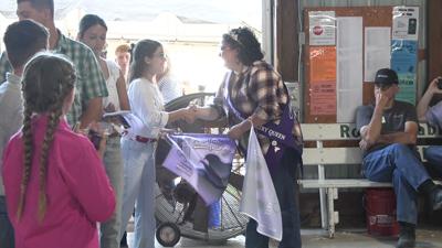 Young poultry exhibitors gain confidence at Allen County Fair