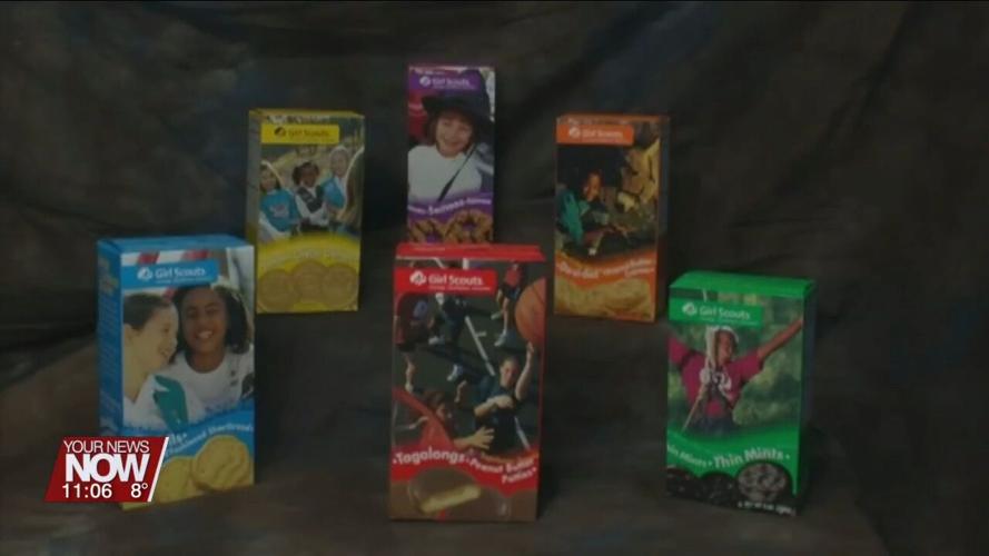 Girl Scout Cookies are on sale now