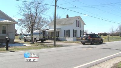 Pinks facing additional charges after attacking a mother and daughter with hatchet 1.jpg